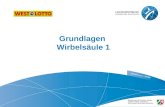 Grundlagen Wirbelsäule 1. 2 | Thema der Präsentation, Duisburg 24.11.2010 WestLotto Das Unternehmen.