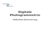 Digitale Photogrammetrie - Orthofoto Generierung -