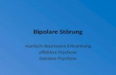 Bipolare Störung manisch-depressive Erkrankung affektive Psychose bipolare Psychose.