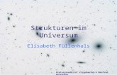 Strukturen im Universum Elisabeth Füllenhals Hintergrundbild: Virgohaufen © Manfred Wasshuber.