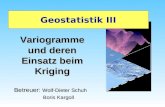 Variogramme und deren Einsatz beim Kriging Geostatistik III Betreuer: Wolf-Dieter Schuh Boris Kargoll Boris Kargoll.