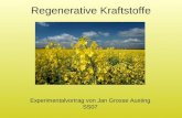 Regenerative Kraftstoffe Experimentalvortrag von Jan Grosse Austing SS07.