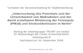 Stern/Kerschbaumer, 16.9. 2004 Vorhaben der Senatsverwaltung für Stadtentwicklung: „Untersuchung des Potentials und der Umsetzbarkeit von Maßnahmen und.