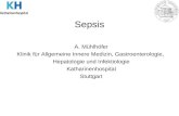 Sepsis A. Mühlhöfer Klinik für Allgemeine Innere Medizin, Gastroenterologie, Hepatologie und Infektiologie Katharinenhospital Stuttgart.