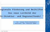 „Regionale Förderung und Beihilfen – Das neue Leitbild der EU-Struktur- und Regionalfonds! “ Dr. Jorgo Chatzimarkakis Brüssel, 20. Februar 2009.