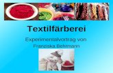 Textilfärberei Experimentalvortrag von Franziska Behrmann.