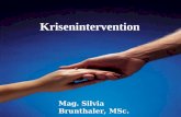 Krisenintervention Mag. Silvia Brunthaler, MSc.. Krise Krise : Verlust des psychischen Gleichgewichts; Ereignisse oder Lebensumstände können nicht bewältigt.