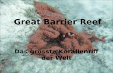 Great Barrier Reef Das grösste Korallenriff der Welt.