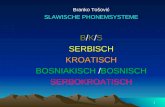 1 Branko Tošović SLAWISCHE PHONEMSYSTEME B/K/S SERBISCH KROATISCH BOSNIAKISCH /BOSNISCH SERBOKROATISCH.