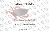 Software-Fehler Kleine Bugs, große GAU’s Prof. Thomas Huckle 28.5.2015.