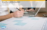 INTERN Buchungsperioden SAP Business One Version 9.0.