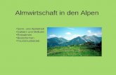 Almwirtschaft in den Alpen Senn- und Alpbetrieb Galtalm und Melkalm Rossalmen Besitzformen Tourismusbetrieb.