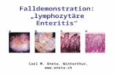 Falldemonstration: „lymphozytäre Enteritis“ Carl M. Oneta, Winterthur, .