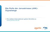 Die Rolle der Januskinase (JAK)- Signalwege Für weitere Informationen gehen Sie bitte zu: .