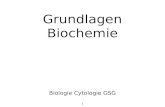 Grundlagen Biochemie Biologie Cytologie GSG 1. Proteine („Eiweiße“) Biologie Cytologie GSG 2.