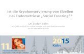 Ist die Kryokonservierung von Eizellen bei Endometriose „Social Freezing“? Dr. Stefan Palm MVZ PAN Institut für endokrinologie und reproduktionsmedizin.