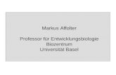 Markus Affolter Professor für Entwicklungsbiologie Biozentrum Universität Basel.