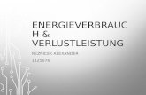 ENERGIEVERBRAUCH & VERLUSTLEISTUNG REZNICEK ALEXANDER 1125076.