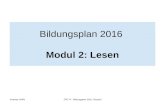 Andreas HöffleZPG IV - Bildungsplan 2016, Deutsch Bildungsplan 2016 Modul 2: Lesen.