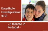 - 6 Monate in Portugal - Europäischer Freiwilligendienst (EFD) EFD IN PORTUGAL 2014.