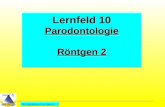 All Copyrights by P.-A. Oster ® Lernfeld 10 Parodontologie Röntgen 2.