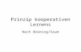 Prinzip kooperativen Lernens Nach Brüning/Saum. Prinzip kooperativen Lernens Denken (Think) Austauschen (Pair) Vorstellen (Share)
