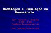 Modelagem e Simulação na Nanoescala Prof. Fernando A. Rochinha G-103 – G-201 faro@mecanica.coppe.ufrj.br Prof. Fernando Pereira Duda.