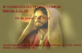 4º DOMINGO DO TEMPO COMUM Marcos 1,21-28 4º DOMINGO DO TEMPO COMUM Marcos 1,21-28 29 de janeiro de 2012 29 de janeiro de 2012 Aprofundando os textos bíblicos: