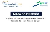 MAPA DO EMPREGO O perfil do trabalhador do Setor Terciário Privado do Mato Grosso do Sul.