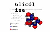 Glicólise. É a sequência metabólica composta por um conjunto de dez reações catalizadas por enzimas livres no citosol. A glicólise é uma das principais.