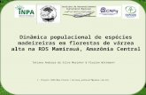 Tatiana Andreza da Silva Marinho 1 & Florian Wittmann 1 Dinâmica populacional de espécies madeireiras em florestas de várzea alta na RDS Mamirauá, Amazônia.
