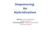 Sequencing by Hybridization Aluno: Ennio Baptista (esb@cin.ufpe.br)esb@cin.ufpe.br Orientadora: Kátia Guimarães (katia@cin.ufpe.br)katia@cin.ufpe.br.