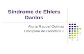 Síndrome de Ehlers Danlos Aluna Raquel Quimas Disciplina de Genética II.