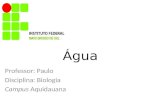 Água Professor: Paulo Disciplina: Biologia Campus Aquidauana.
