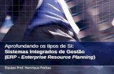Aprofundando os tipos de SI: Sistemas Integrados de Gestão (ERP - Enterprise Resource Planning) Equipe Prof. Henrique Freitas.