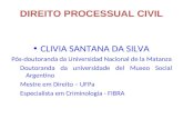 CLIVIA SANTANA DA SILVA Pós-doutoranda da Universidad Nacional de la Matanza Doutoranda da universidade del Museo Social Argentino Mestre em Direito –
