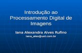 Introdução ao Processamento Digital de Imagens Iana Alexandra Alves Rufino iana_alex@uol.com.br.
