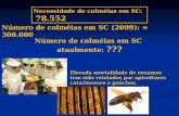 Necessidade de colméias em SC: 78.552 Número de colméias em SC (2009): ≈ 300.000 Número de colméias em SC atualmente: ??? Elevada mortalidade de enxames.