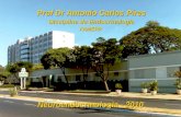 Prof Dr Antonio Carlos Pires Disciplina de Endocrinologia FAMERP Prof Dr Antonio Carlos Pires Disciplina de Endocrinologia FAMERP Neuroendocrinologia -