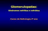 Glomerulopatias: Síndromes nefrítica e nefrótica Curso de Nefrologia 4º ano.