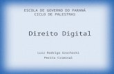 ESCOLA DE GOVERNO DO PARANÁ CICLO DE PALESTRAS Direito Digital Luiz Rodrigo Grochocki Perito Criminal.