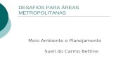 DESAFIOS PARA ÁREAS METROPOLITANAS Meio Ambiente e Planejamento Sueli do Carmo Bettine.