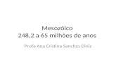 Mesozóico 248,2 a 65 milhões de anos Profa Ana Cristina Sanches Diniz.