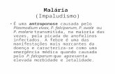 Malária (Impaludismo) É uma antroponose causada pelo Plasmodium vivax, P. falciparum, P. ovale ou P. malarie transmitida, na maioria das vezes, pela picada.