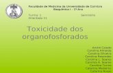 Toxicidade dos organofosforados André Caiado Carolina Almeida Carolina Oliveira Carolina Resendes Carolina L. Soares Carolina A. Soares Carolina Torres.