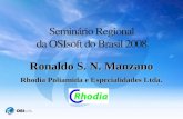Ronaldo S. N. Manzano Rhodia Poliamida e Especialidades Ltda.