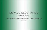 ESPAÇO GEOGRÁFICO MUNDIAL - FATORES GEOGRÁFICOS DA ORGANIZAÇÃO AGRÀRIA -