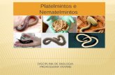 Platelmintos e Nematelmintos DISCIPLINA DE BIOLOGIA PROFESSORA VIVIANE.