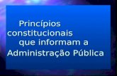 Princípios constitucionais que informam a Administração Pública.