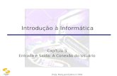 DSC/CEEI/UFCG Introdução à Informática Capítulo 5 Entrada e Saída: A Conexão do Usuário.